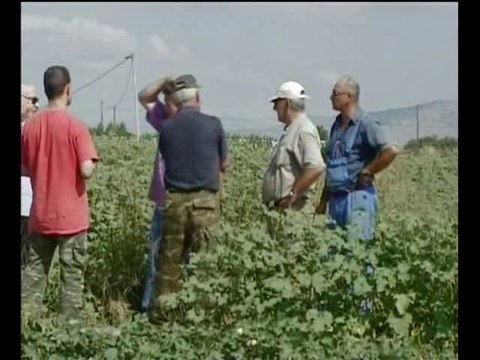 Σε απόγνωση οι αγρότες στη Λιβαδειά για τις κλοπές των μετασχηματιστών της ΔΕΗ