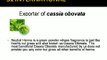 S2international : Cassia Obovata Powder Suppliers