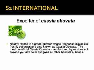 S2international : Cassia Obovata Powder Suppliers