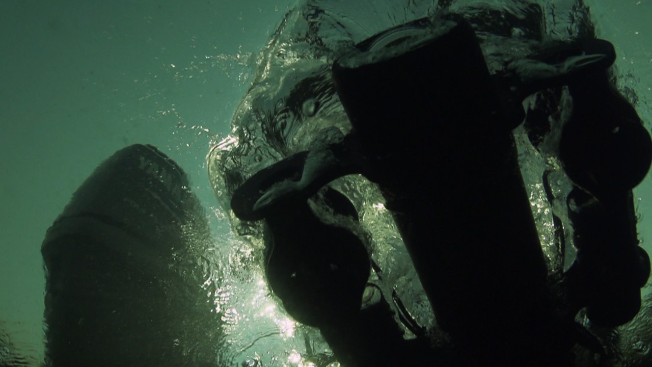 Drone testing: going underwater with hippos