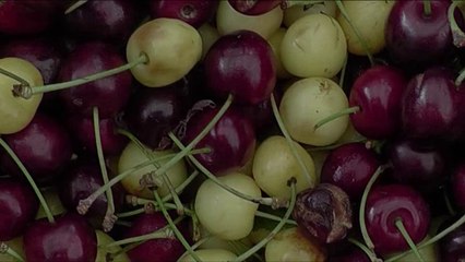 Les voleurs de cerises