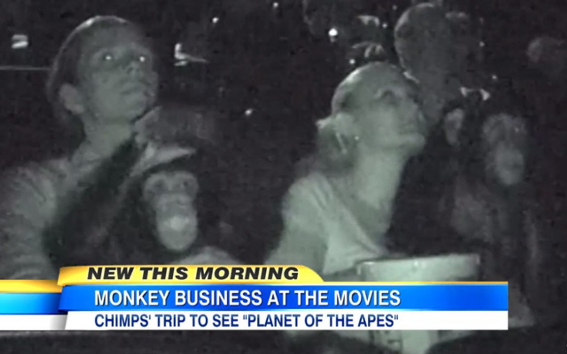 2 chimpanzés au cinéma