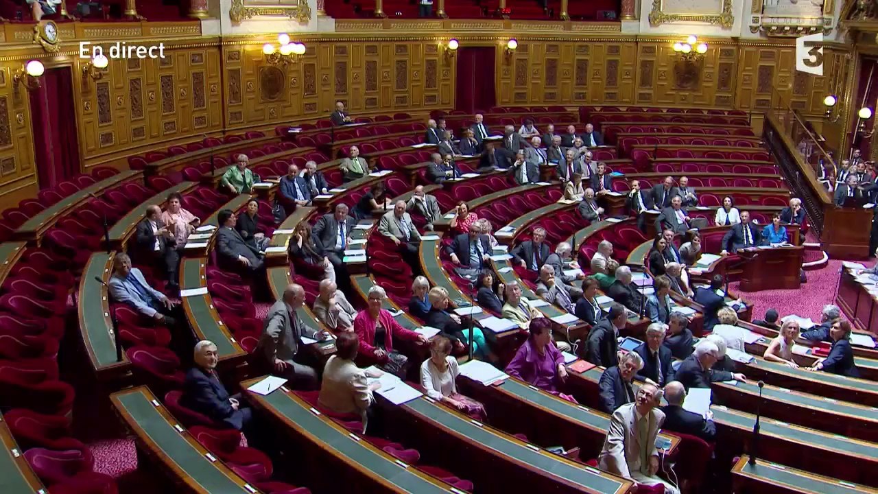 Des Femen font irruption au Sénat lors des questions au gouvernement