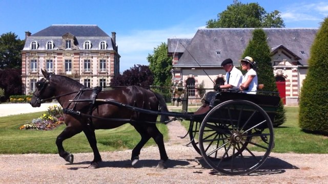 Défilé d'attelages au haras national