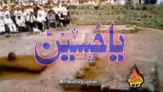 Bas Bibi s.a razi ho jaien by Shahid Baltistani