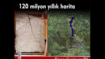 Dikkat! Bu gerçekler sizi sarsabilir!