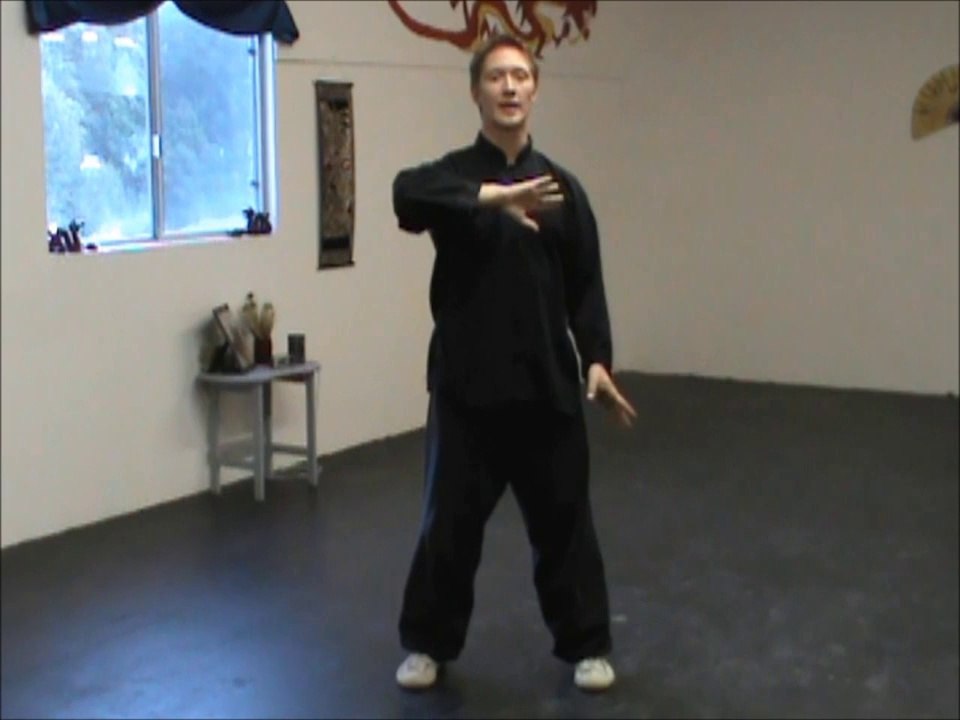 (3/11) Yang Tai Chi Stepping Sets/ Line Drills Cloud Hands