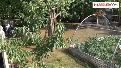 Su Borusu Patladı, Etrafı Sular Bastı