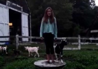 Goats Find National Anthem Calming After Storm