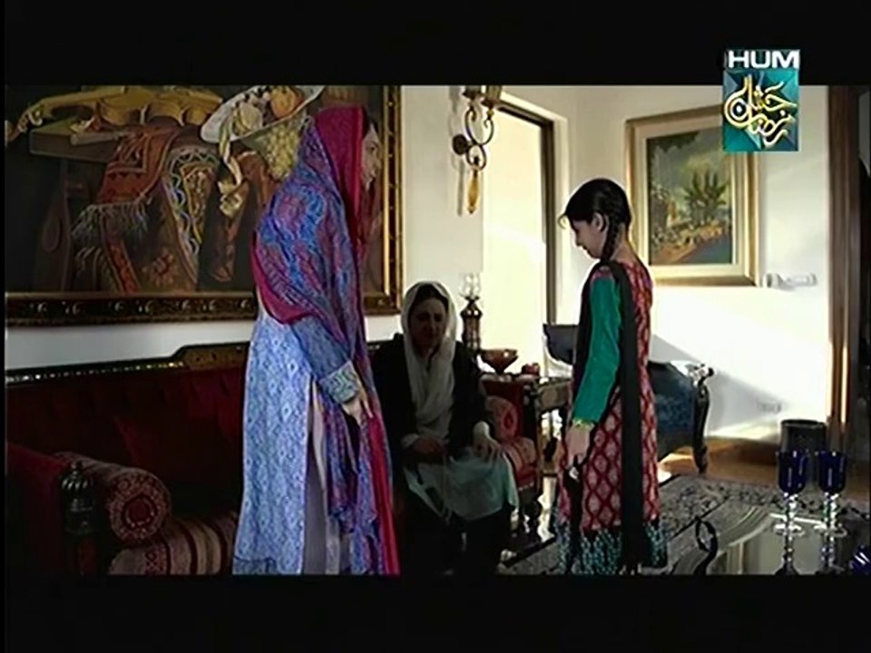 Janam Jali Episode 13 on Hum Tv - 17th July 2014 - part 3