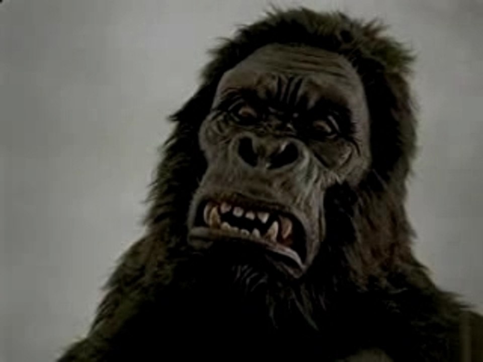 Kingkong-ford