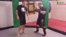 Devastating knockout kick - mixed martial arts techniques