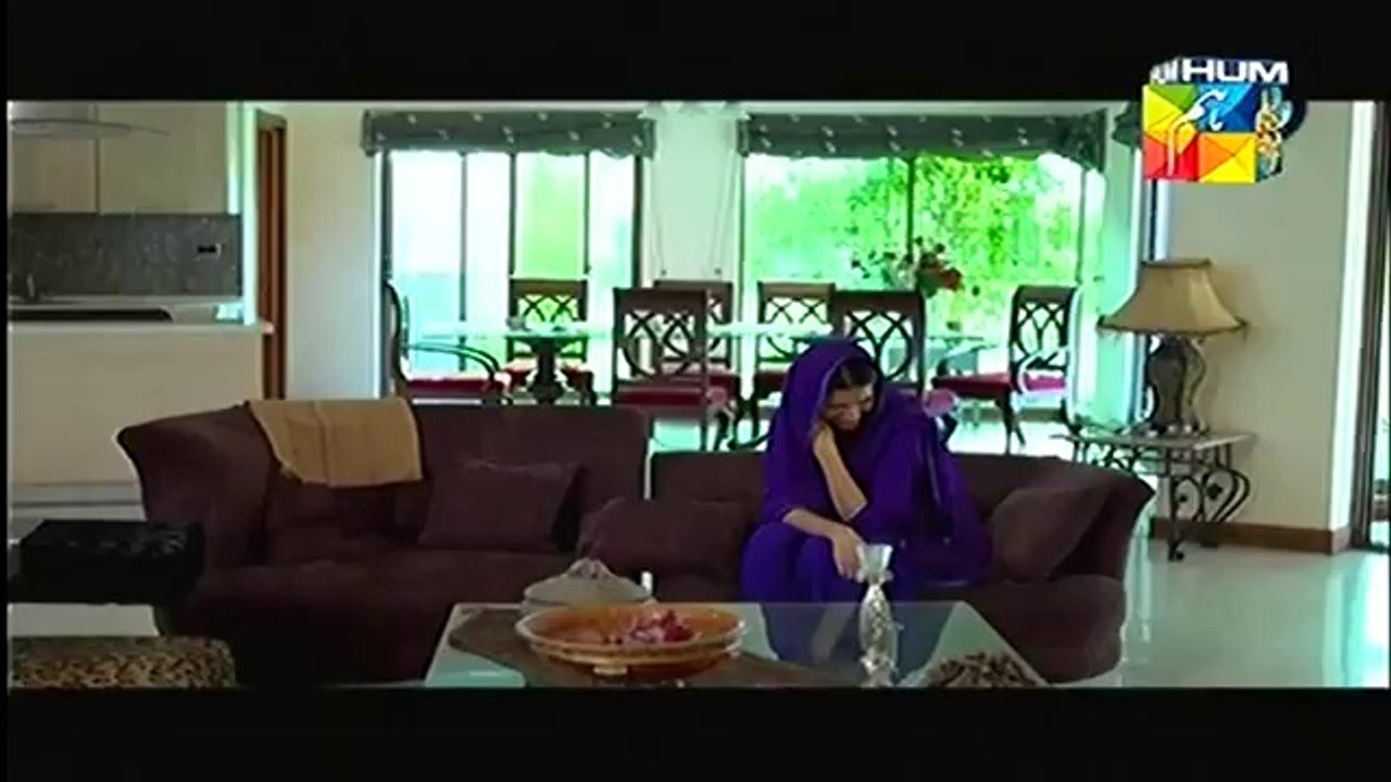 Janam Jali Episode 13 HUM TV Drama Full Episode