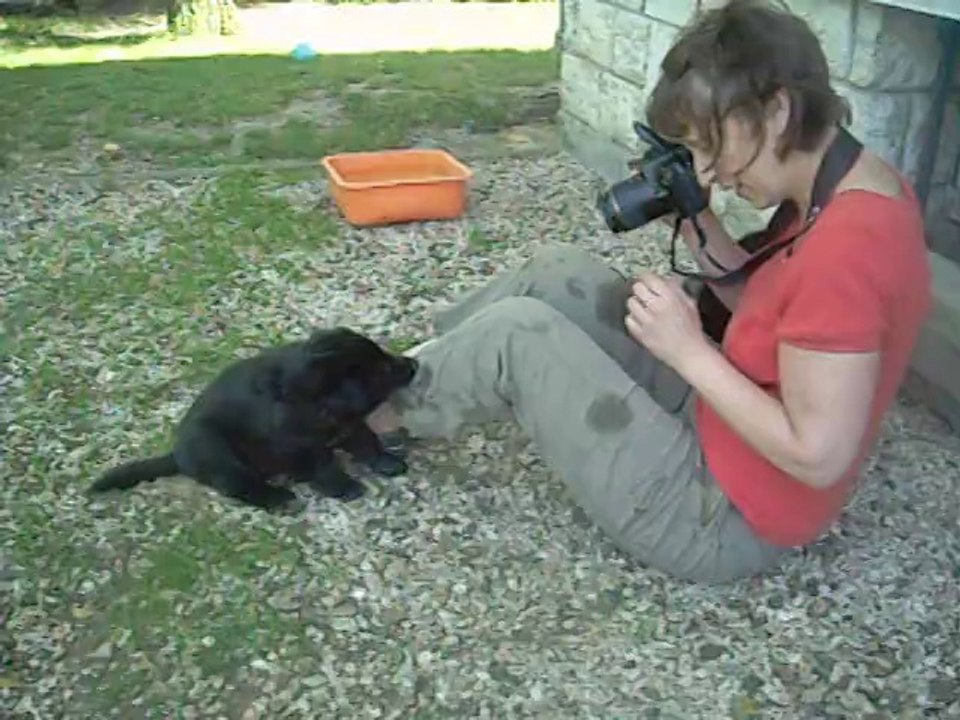 17 juillet 2014 (2), 6 semaines : bleu et jaune