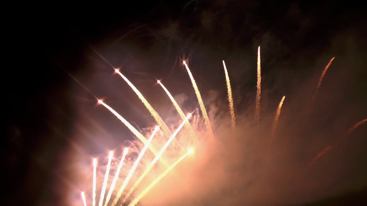 Feux d'artifice louhans 14 juillet 2014 / ruggieri