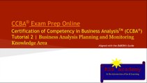 CCBA® Exam Prep Online, Business Analysis Tutorial | Business Analysis Planning and Monitoring Knowledge Area | Stakeholders Analysis | RACI Matrix