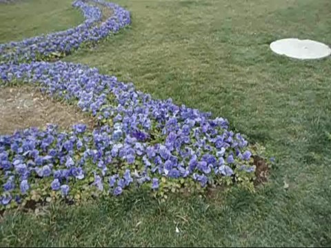 Ak Parti Seçim Şarkısı - Recep Tayyip Erdoğan - Uğur Işılak