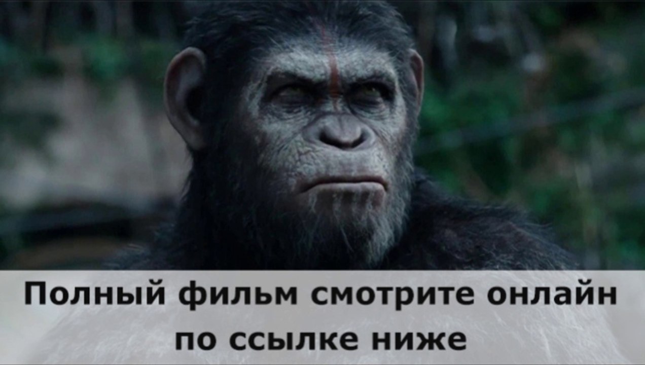 Планета обезьян : Революция (2014) 720 HD без регистрации