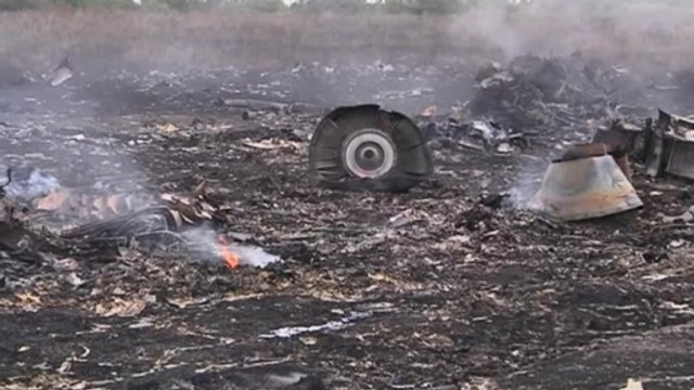 Poroshenko: Terrorist attack caused plane crash