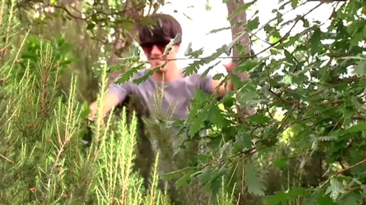 TV3 - Ànima - Ànima - capítol 177