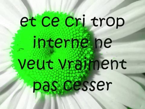 Coeur De Pirate ~ Printemps (Lyrics / Paroles)