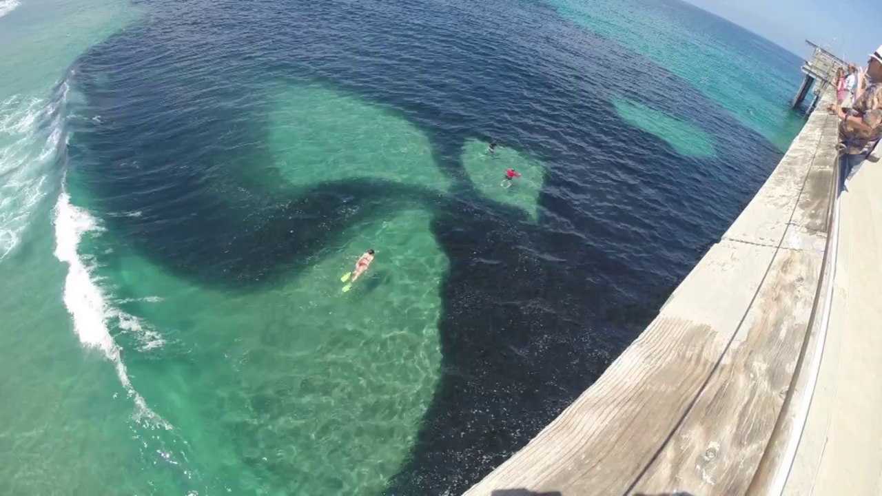OMG - Incredible Sea