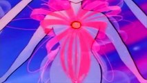 Sailor Moon Crystal | Old and New transforming  | The first Transforming of Sailor Moon