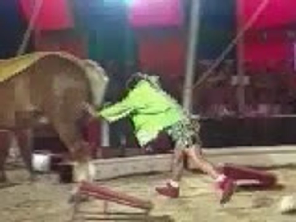 circus Funny Video