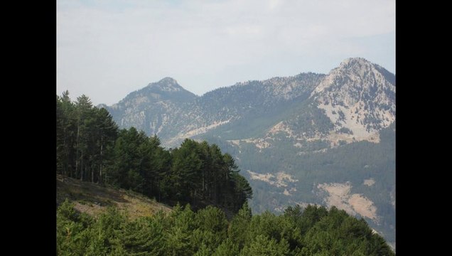 SAİMBEYLİ ( kekik-dağ nanesi-çatak-obruk)