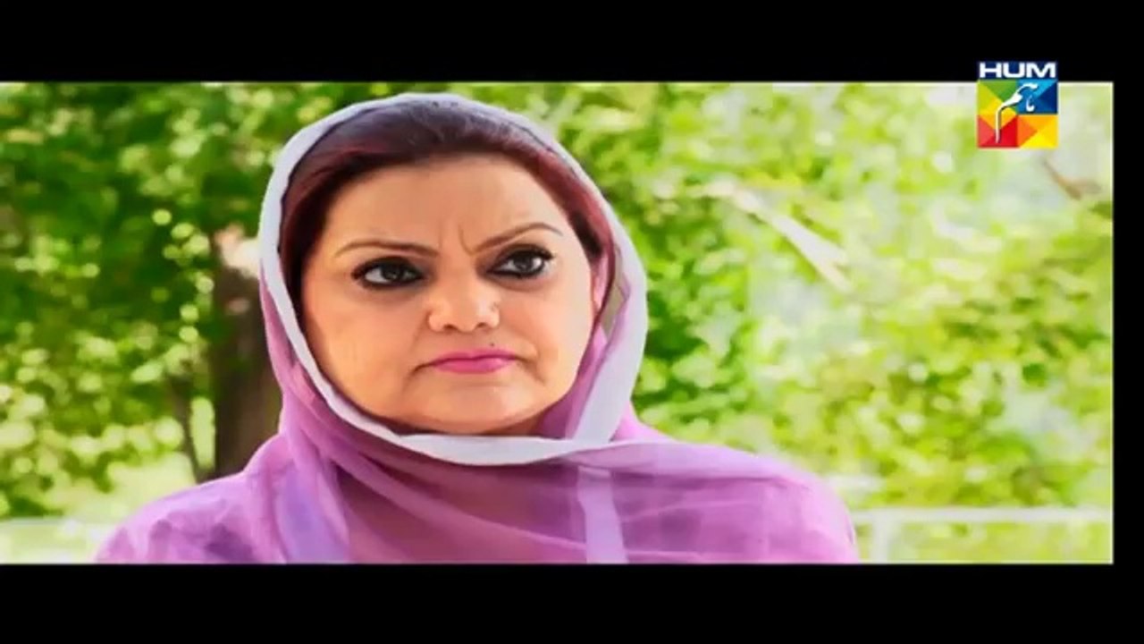 Dhol Bajne Laga Episode 20 HUM TV Drama