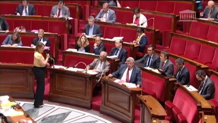 PROJET DE LOI DE FINANCES RECTIFICATIVE POUR 2014 (nouvelle lecture) - Mardi 15 Juillet 2014