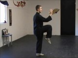(6/11) Yang Tai Chi Stepping Sets/ Line Drills: Rooster Stands on One