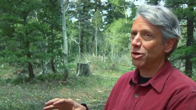 FORESTS UNDER FIRE DOCUMENTARY