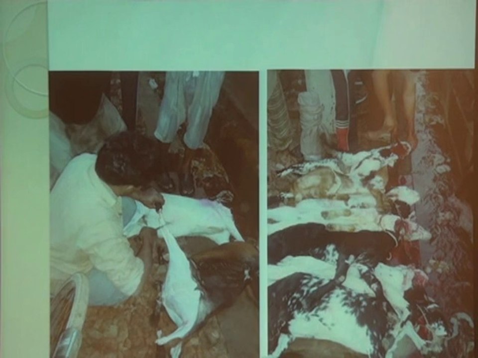 ICHN-2014 Food Safety 2 The food we eat in Islamic Republic of Pakistan Prof. Dr. Javed Aziz Awan