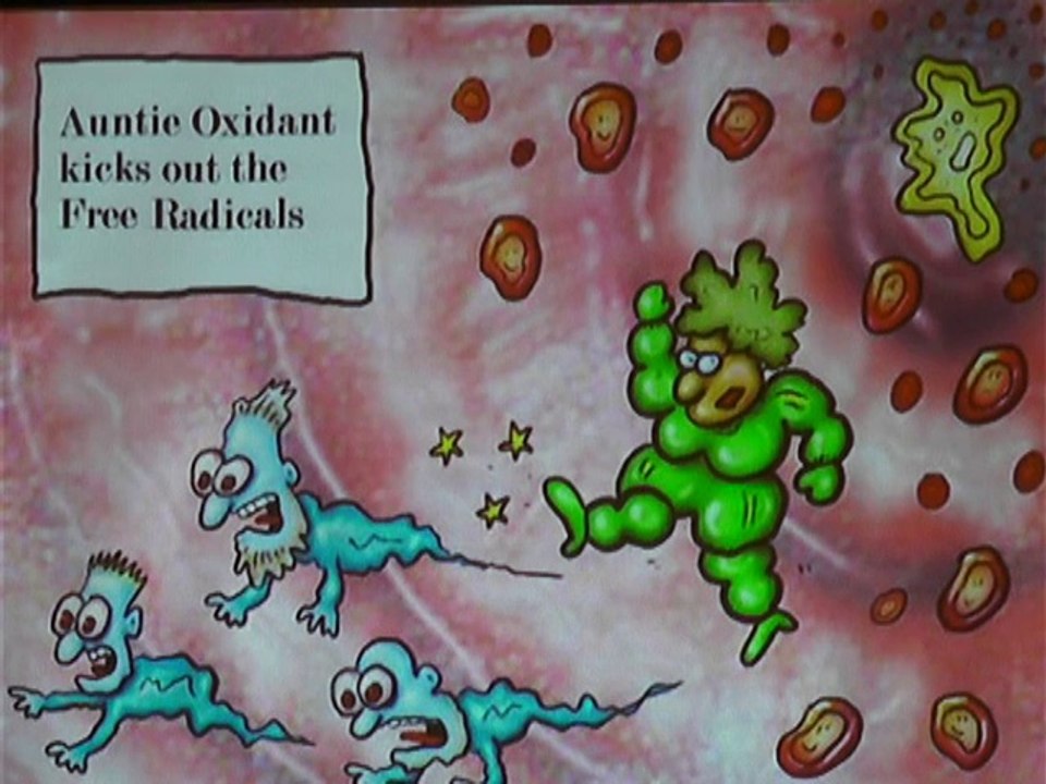 ICHN-2014 Nutraceuticals& Functional Foods 2 Impact of drying conditions on nutritional quality of pomegranate Prof. Dr. Abid Hussnain