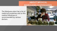 Want to learn about Medical Marijuana Dispensaries?
