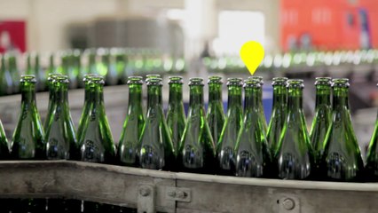 Que deviennent nos bouteilles ou bocaux en verre une fois mis dans la poubelle verte ?