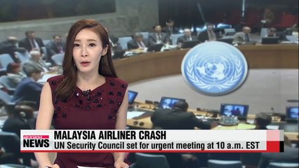 Malaysian passenger plane 'shot down' in Ukraine, 298 dead (3)