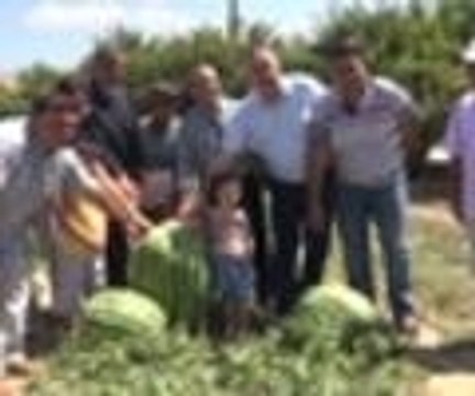 Görenleri hayrete düşüren dev karpuz