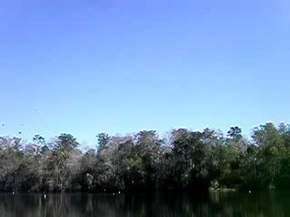 floride 06 02 2007 n5