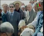Algerie,Biskra,agri,logistique,protection du mouton O.Jellal