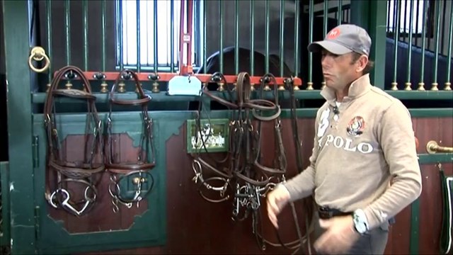 Cheval Pratique 294 - Embouchures