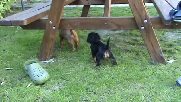 1ère sortie au jardin