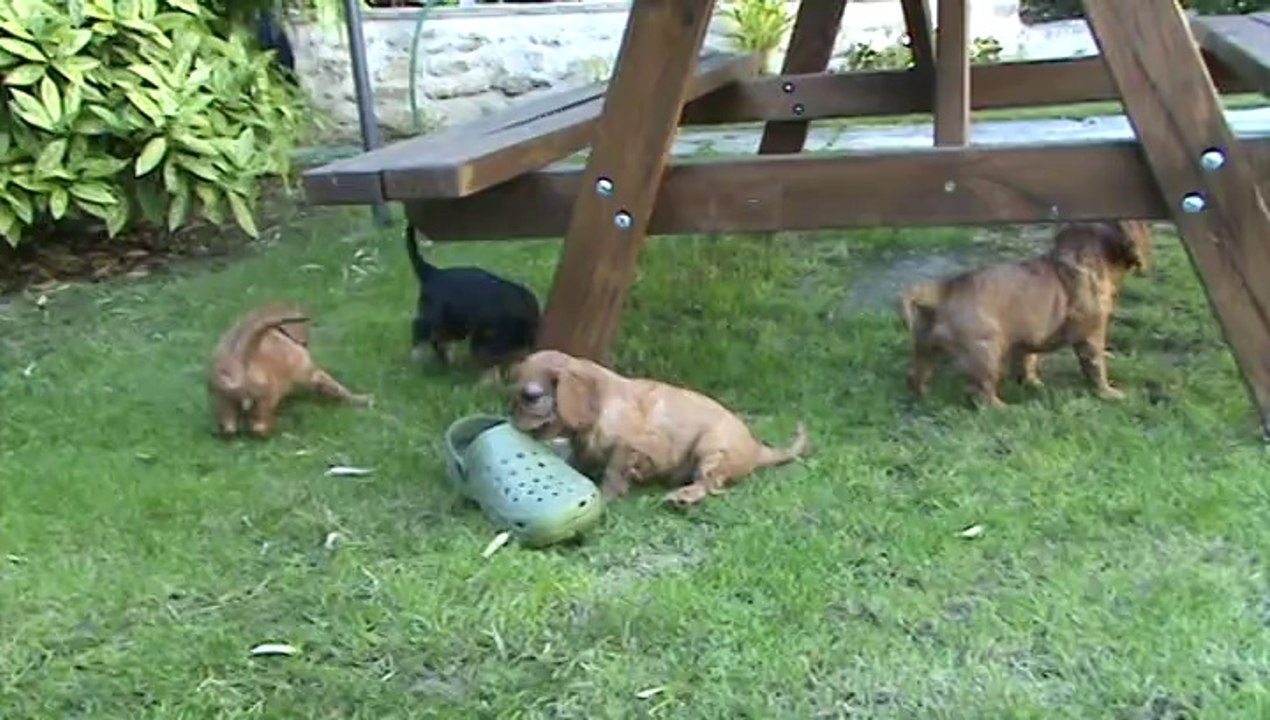 1ère sortie au jardin