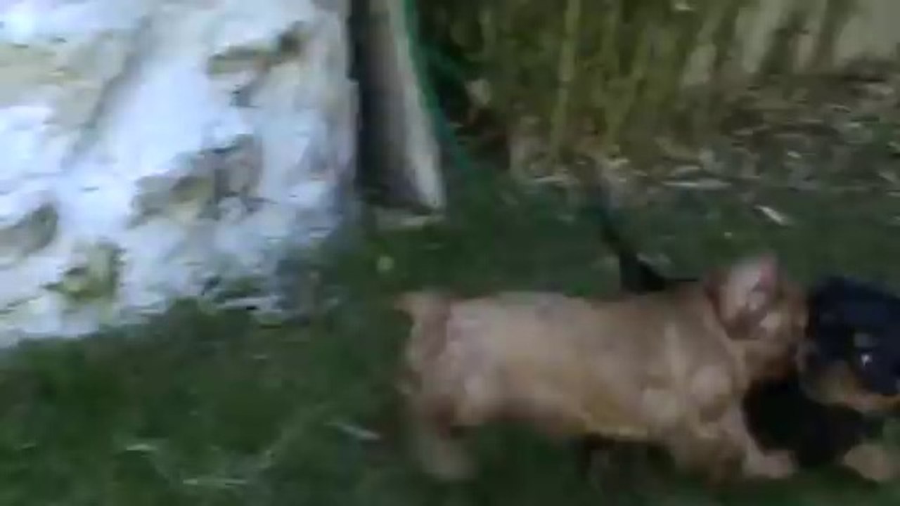 1ère sortie au jardin