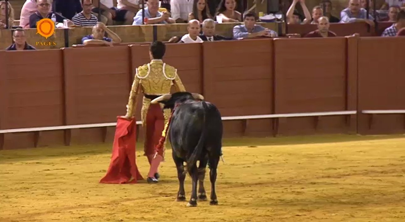 Resumen 2ª Promoción 17 julio 2014 Maestranza de Sevilla