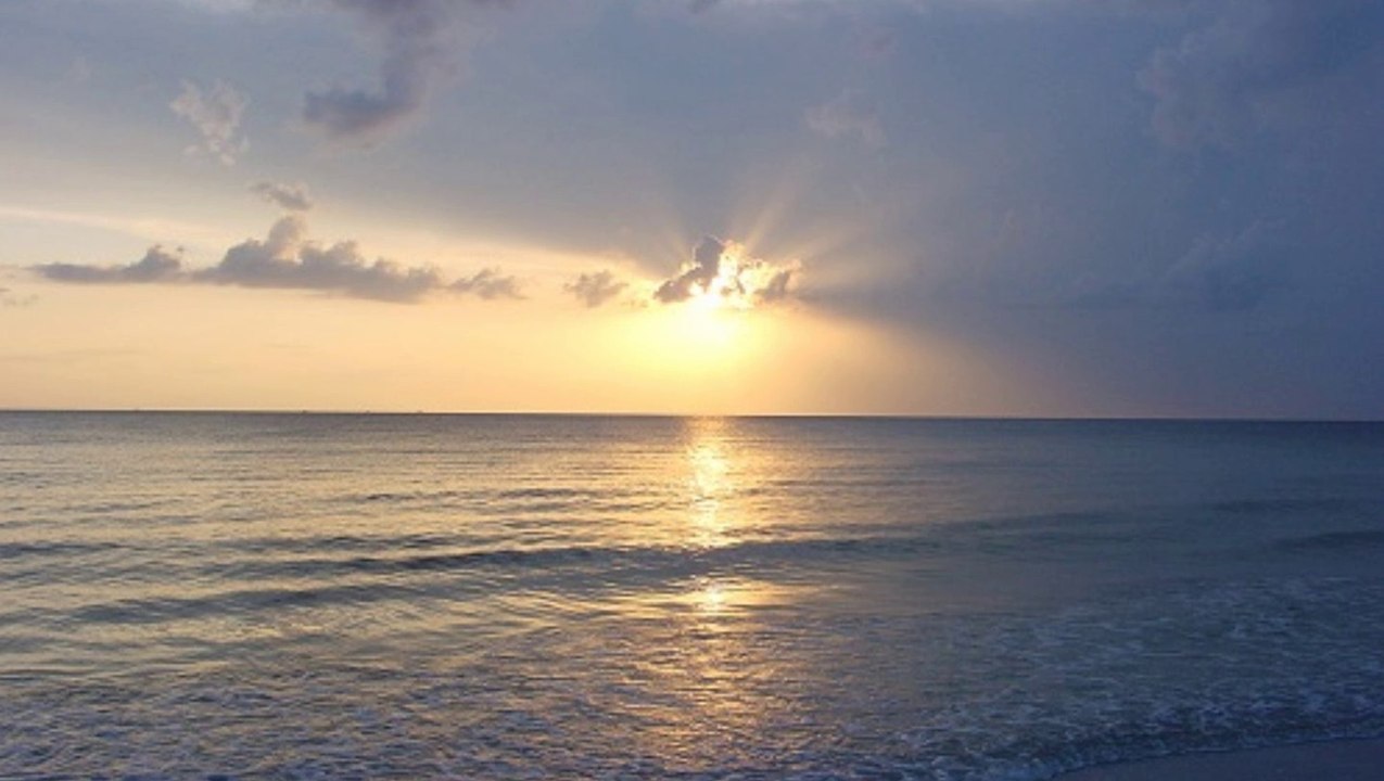 Danny Sawrij | The Role of the European Commission in U.K. Waste Management