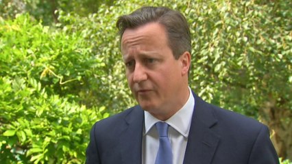 Cameron: Those responsible for downing jet must be 'held to account'