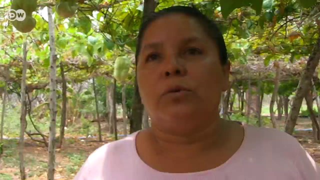 Climate: NICARAGUA - Solar dryers instead of drought | Global 3000