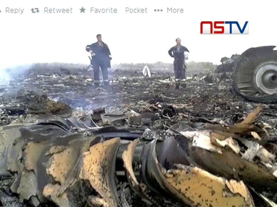 Shocking pics of MH17 plane crash